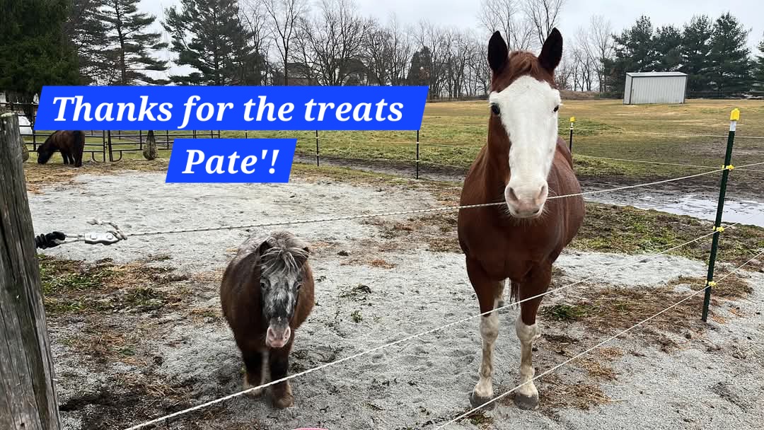 FB IMG 1762998389450